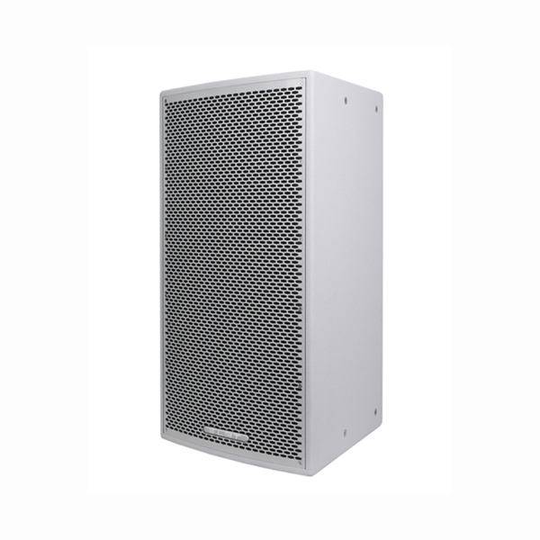 全频扬声器 DS-315